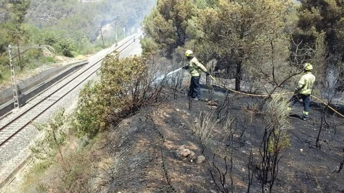 L'inendi ha cremat un total de 3.500 metres quadrats de massa forestal