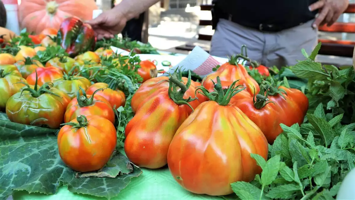 La mostra vol esdevenir un «punt de trobada» del sector de l'horticultura i ajudar a preservar l'agrobiodiversitat