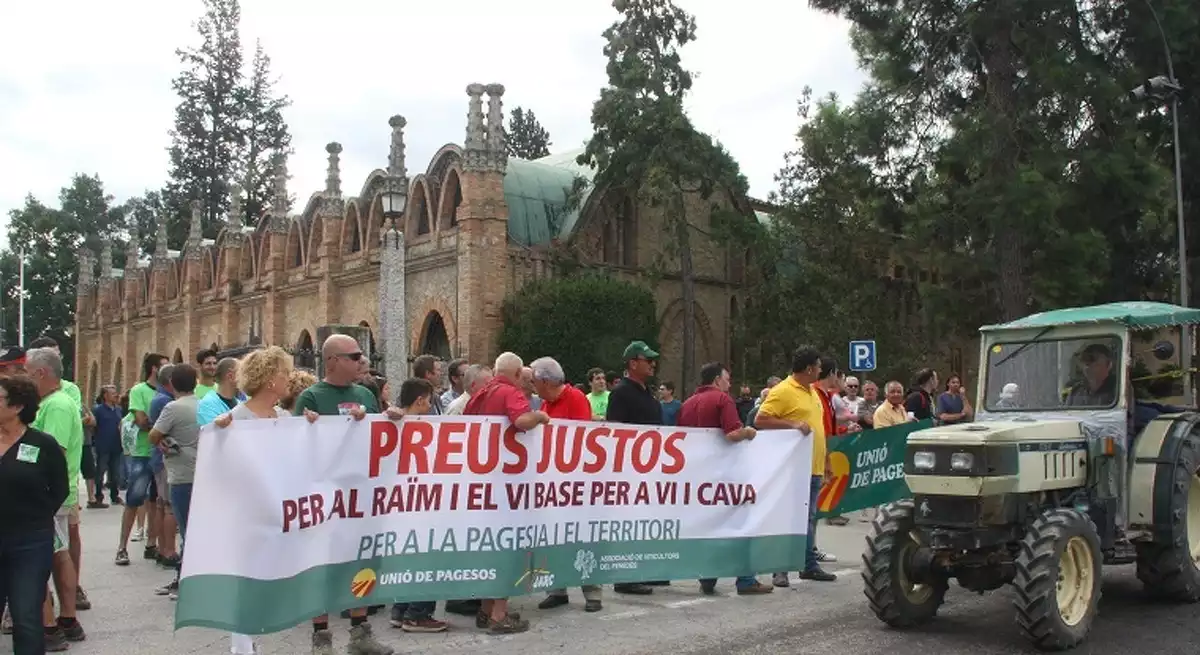 Els viticultors del Penedès han fet vaga aquest 5 de setembre.