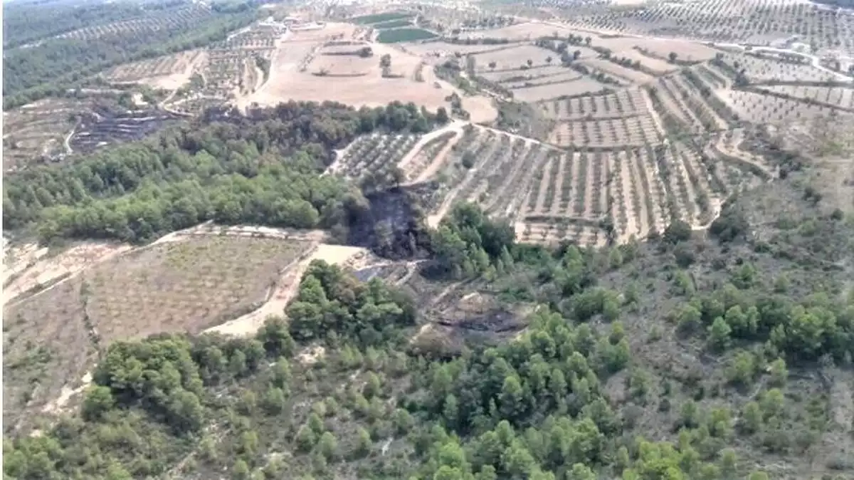Imatge de l'incendi d'Horta de Sant Joan, que ha cremat 3,1 hectàrees
