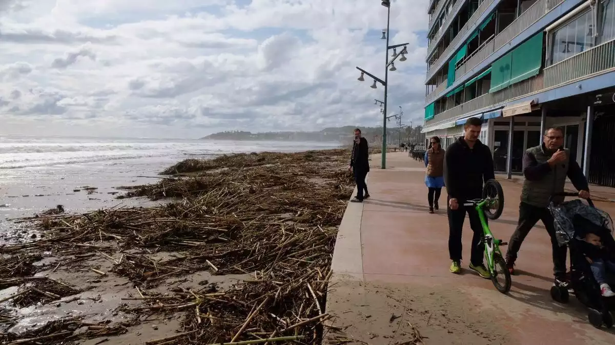 Imatge de la platja de la Pineda aquest dimecres, 23 d'octubre, després del temporal.