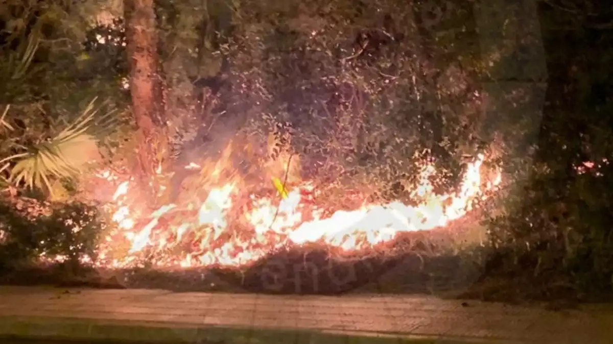 El foc ha cremat matolls i vegetació a Coma-ruga.