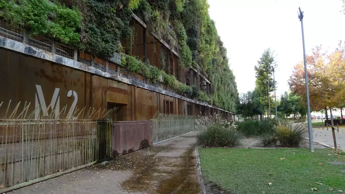 Imatge del jardí vertical de la Tabacalera de Tarragona.