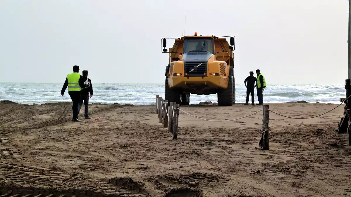 Els operaris i una de les màquines que transporta la sorra a la platja del Migjorn durant els treballs de reforç de la barra de l'Illa de Buda