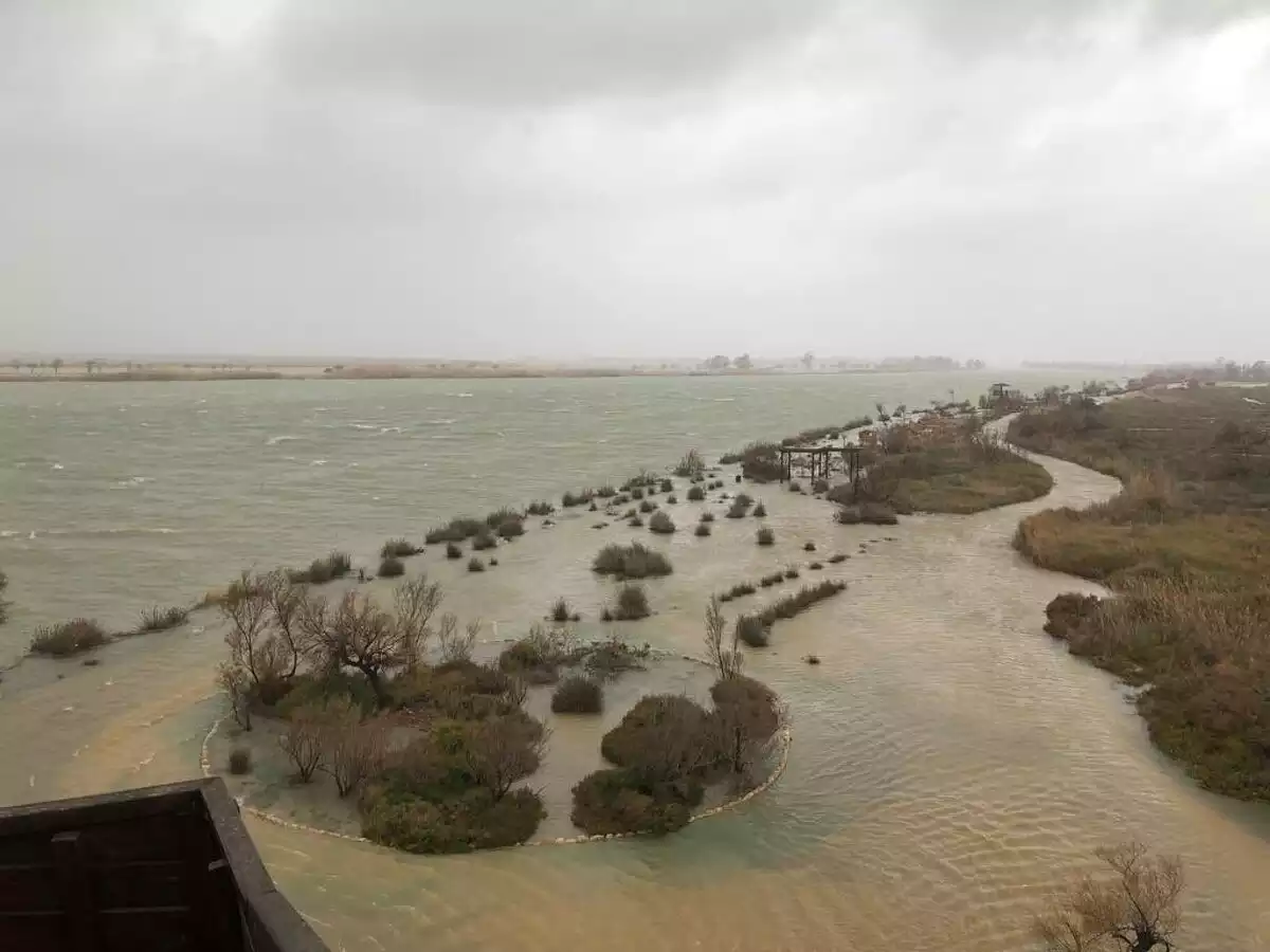El Delta de l'Ebre ha quedat inundat a causa del temporal Glòria