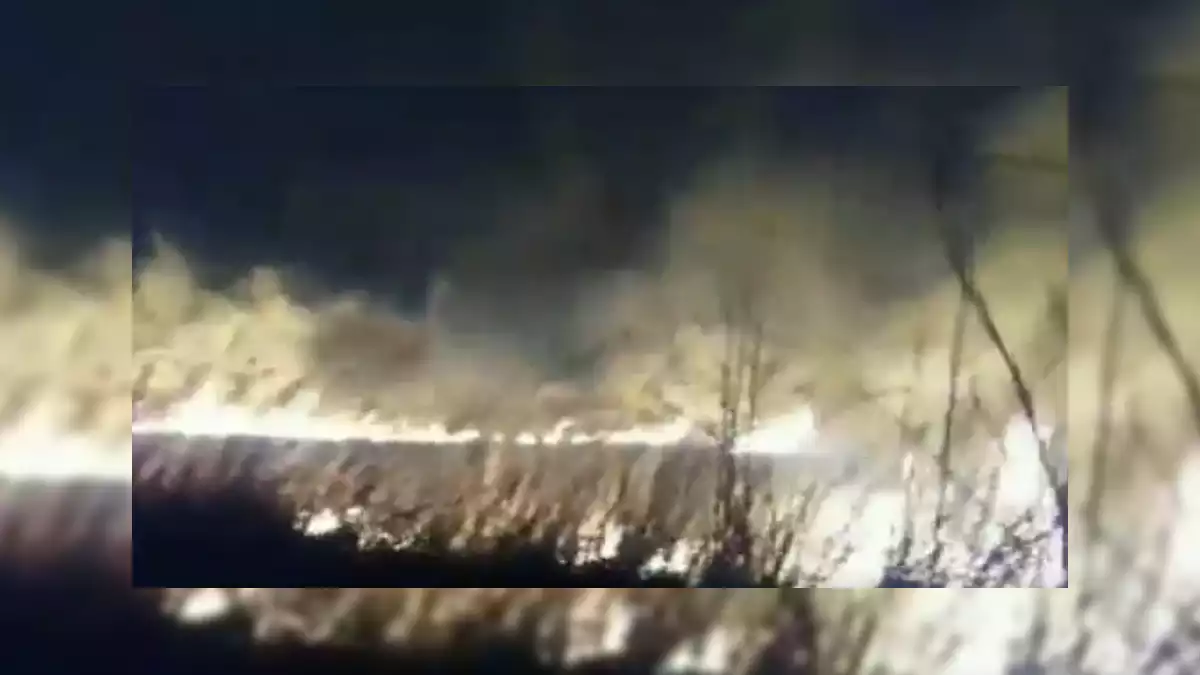 Imatge d'un incendi de canyes a Amposta