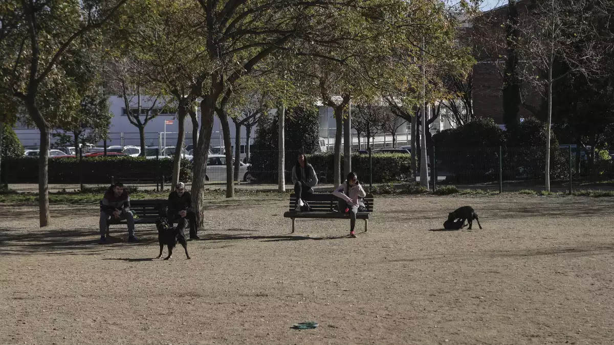 Imatge de la zona d'esbarjo per a gossos del barri de l'Antic Velòdrom de Reus