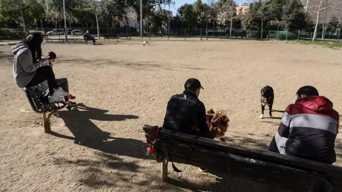 Imatge de la zona d'esbarjo per a gossos del barri de l'Antic Velòdrom de Reus