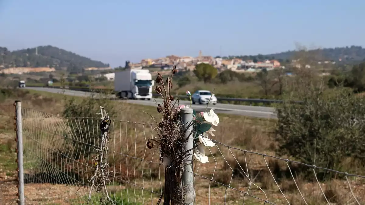 Pla general de l'AP-7 amb rams de flors a la tanca de l'autopista i el poble de Freginals, al fons, el 16 de març de 2017