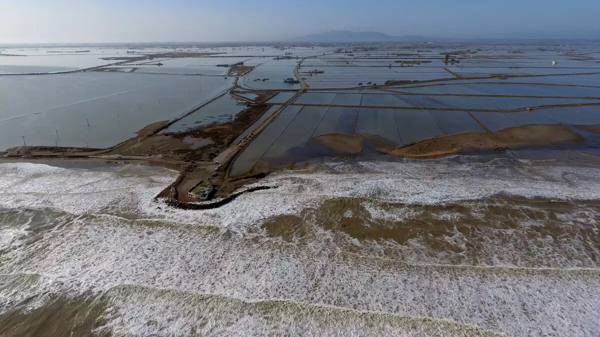 Pla aeri del mar penetrant als arrossars a la zona de la Marquesa, al delta de l'Ebre. Imatge del 23 de gener de 2020.