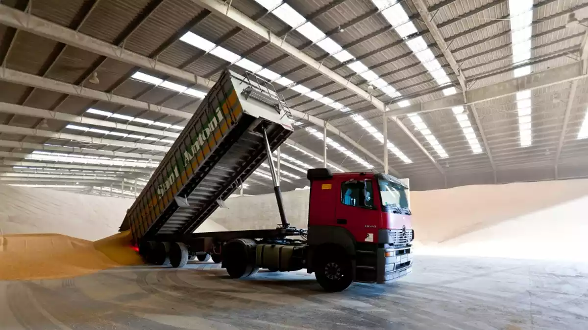 Un camió descarrega cereals en una nau del Port de Tarragona