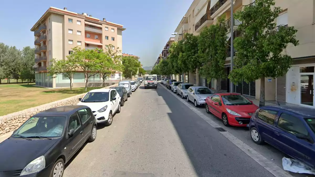 Imatge de l'avinguda de Remolins de Tortosa