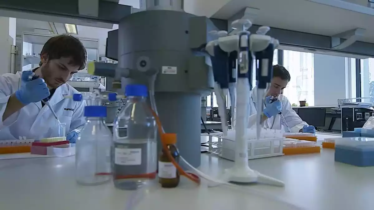 Dos científics realitzant proves en un laboratori