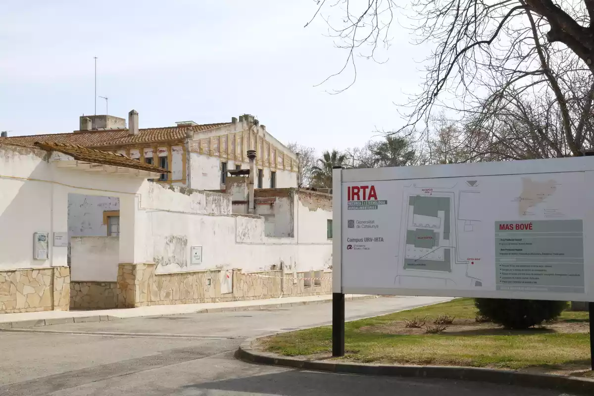 Les instal·lacions de l'IRTA al centre Mas Bové a Constantí on s'hi farà un espai d'interpretació de l'oli