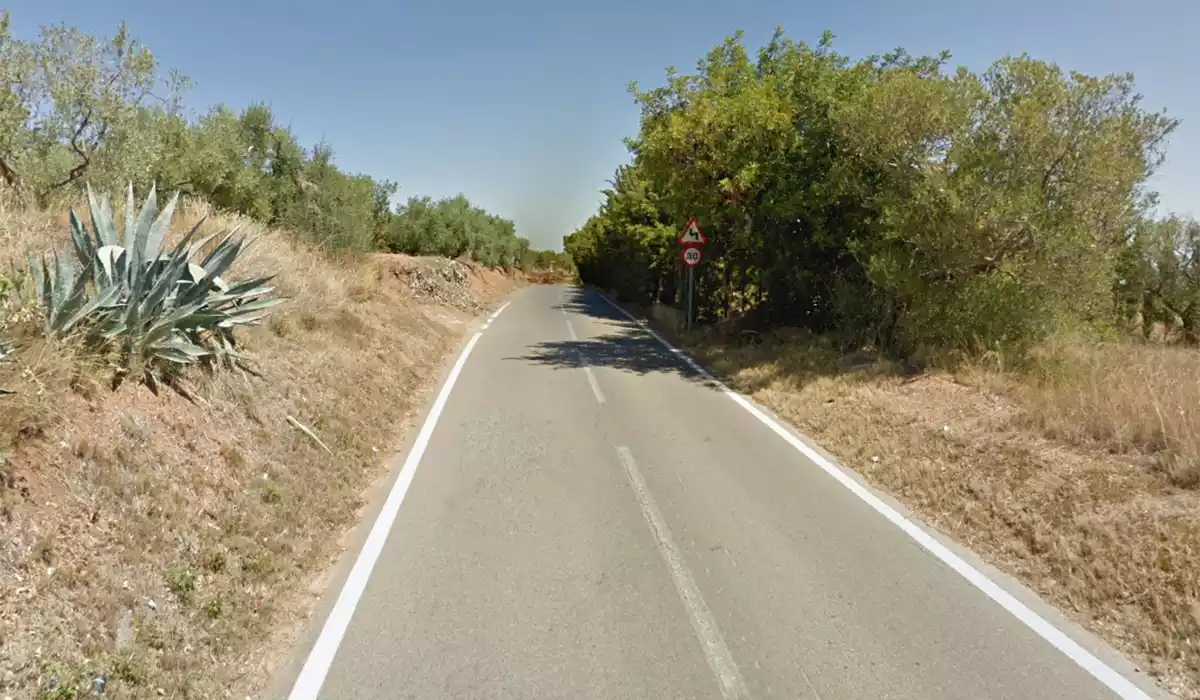 Imatge de la carretera T-3231, entre Almoster i la Selva del Camp