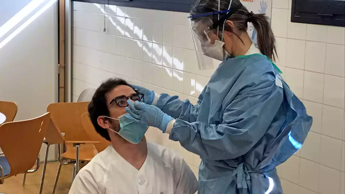 Pla mitjà d'una infermera prenent mostres des del nas a un company per fer-li la prova PCR de la covid al CAP del Temple de Tortosa