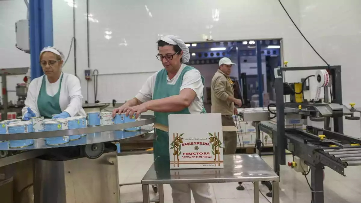 Línia de producció d'Almendrina on dues treballadores col·loquen les llaunes en capses
