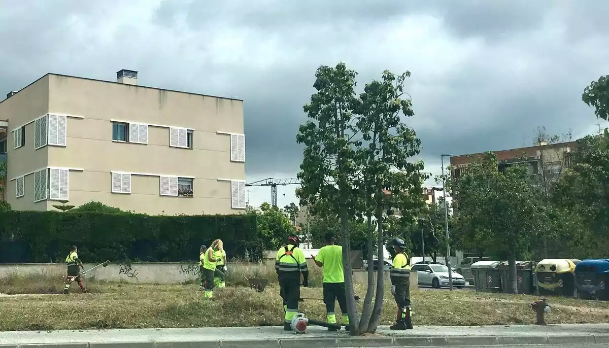 Operaris de Calafell traient les herbes de la via pública.