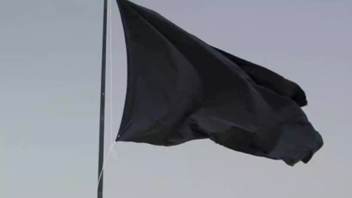 Una bandera negra d'Ecologistes en Acció