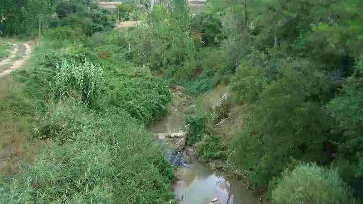 El riu Gaià en una imatge d'arxiu