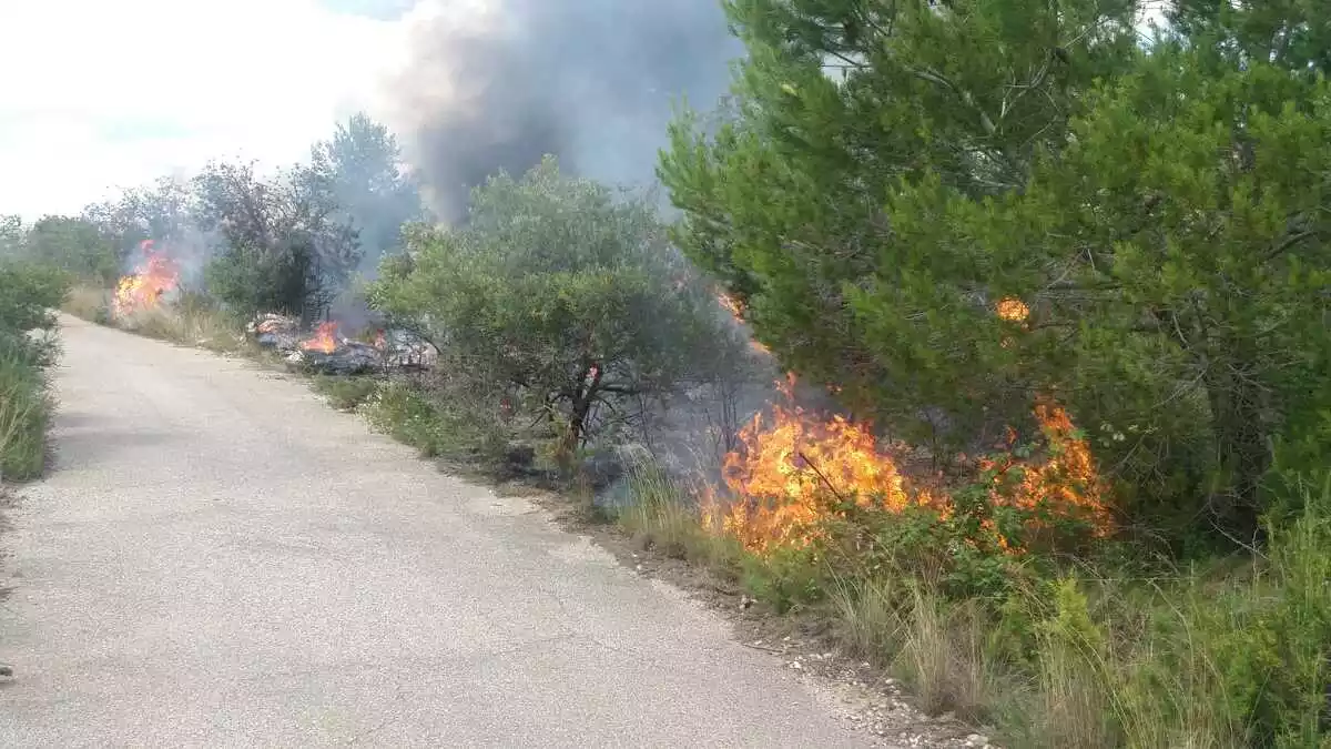 Imatge d'un incendi de vegetació forestal