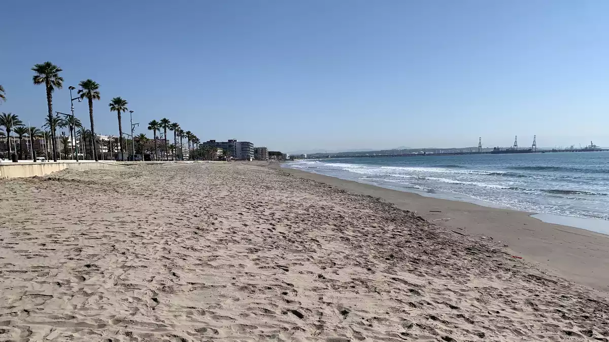 La platja de la Pineda, després de les tasques de regeneració de sorra