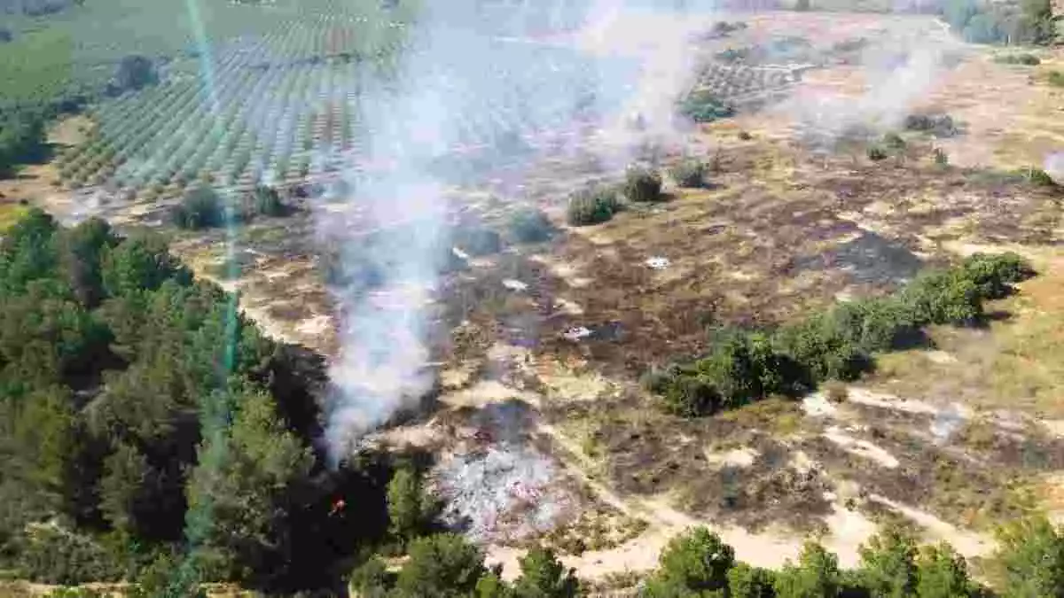 Imatge de l'incendi de vegetació a l'Ametlla de Mar, el diumenge 21 de juny