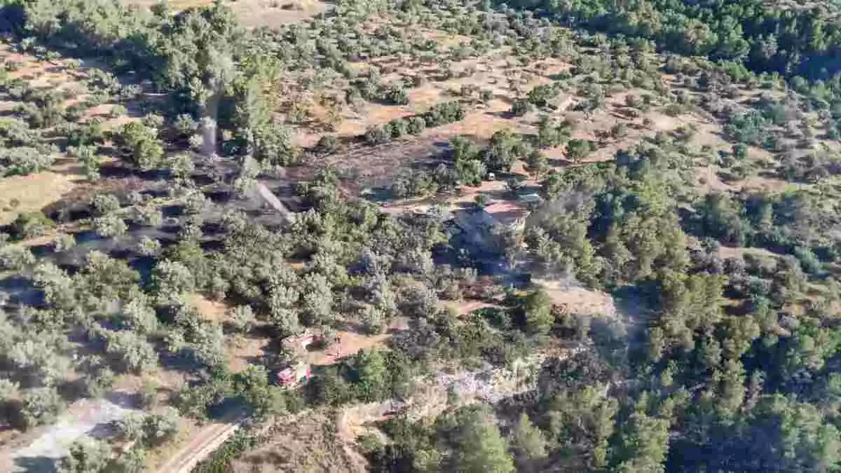 Incendi en un camp d'oliveres a l'Ametlla de Mar