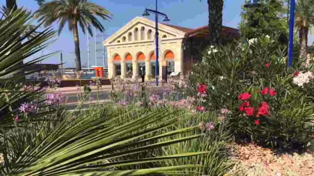 Imatge de diverses plantes al Port de Tarragona