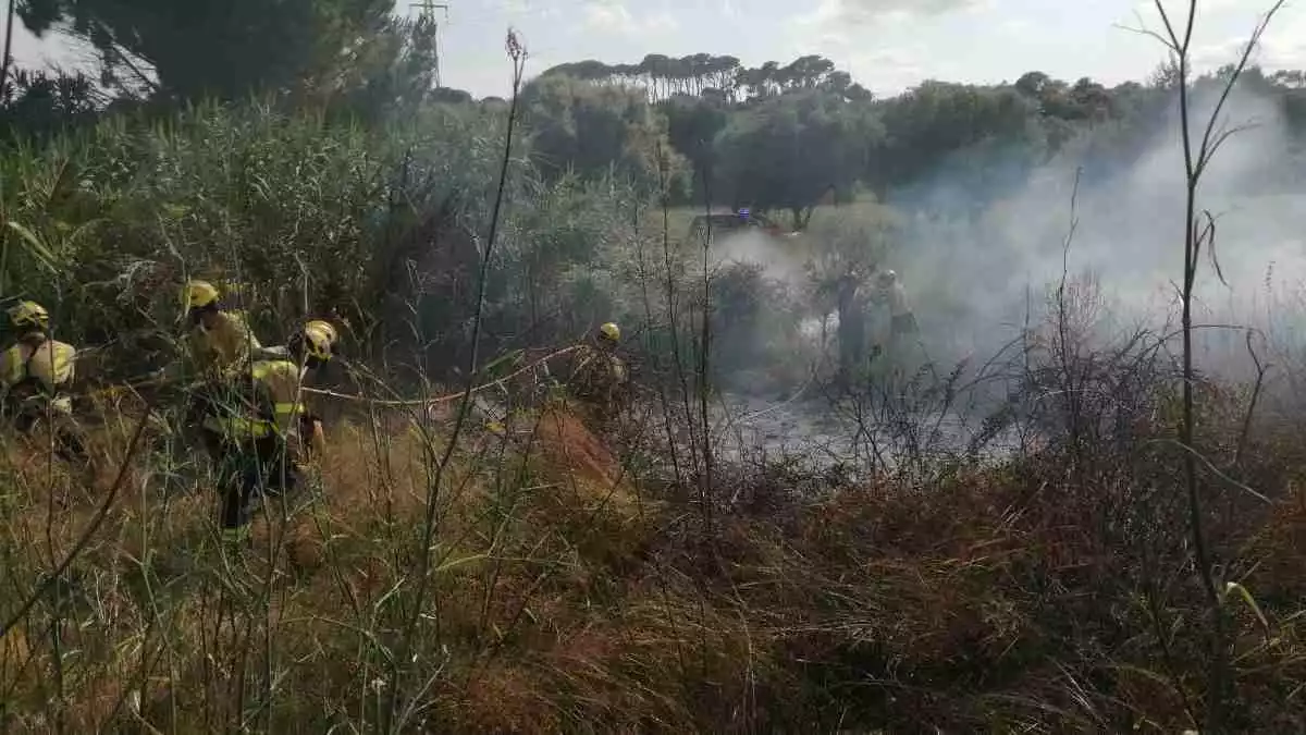 Els Bombers de la Generalitat treballant en un incendi de vegetació a Riudoms