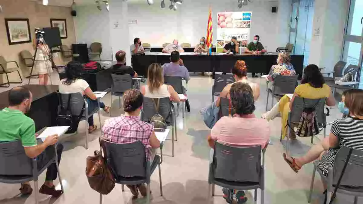 El Ple del Consell Comarcal de la Ribera d'Ebre de juny de 2020