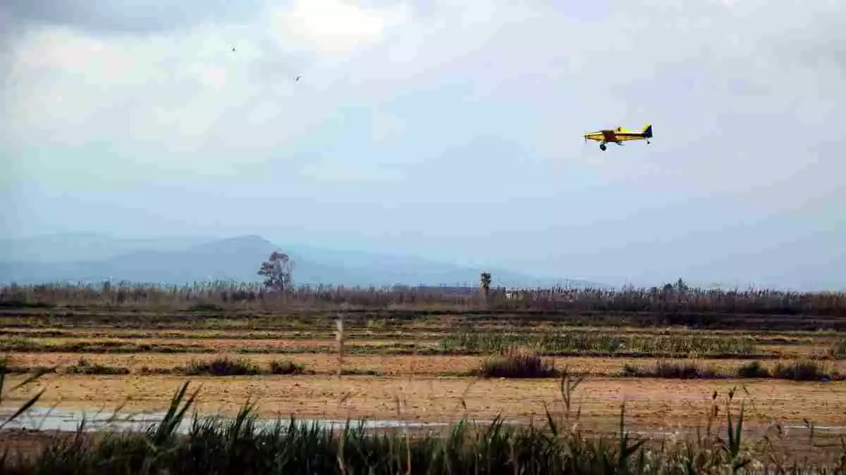 Pla general de l'avioneta que fa les fumigacions contra el mosquit al Delta de l'Ebre, sobrevolant l'espai prop de la platja de la Marquesa de Deltebre