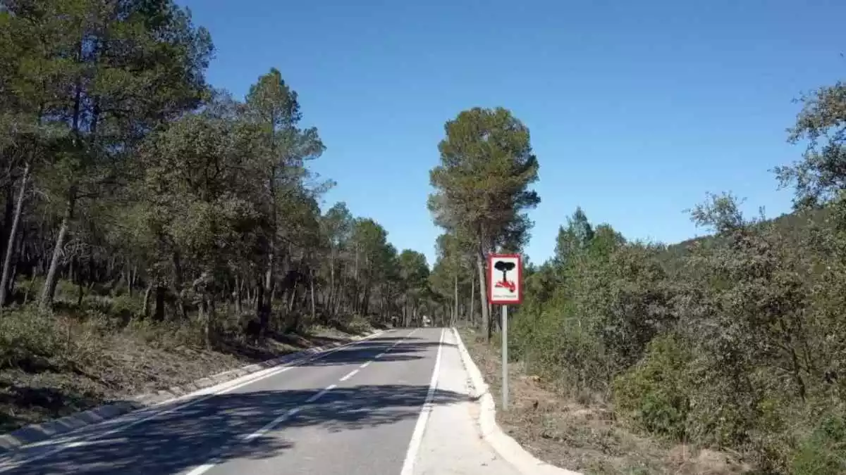 Imatge d'una carretera secundària