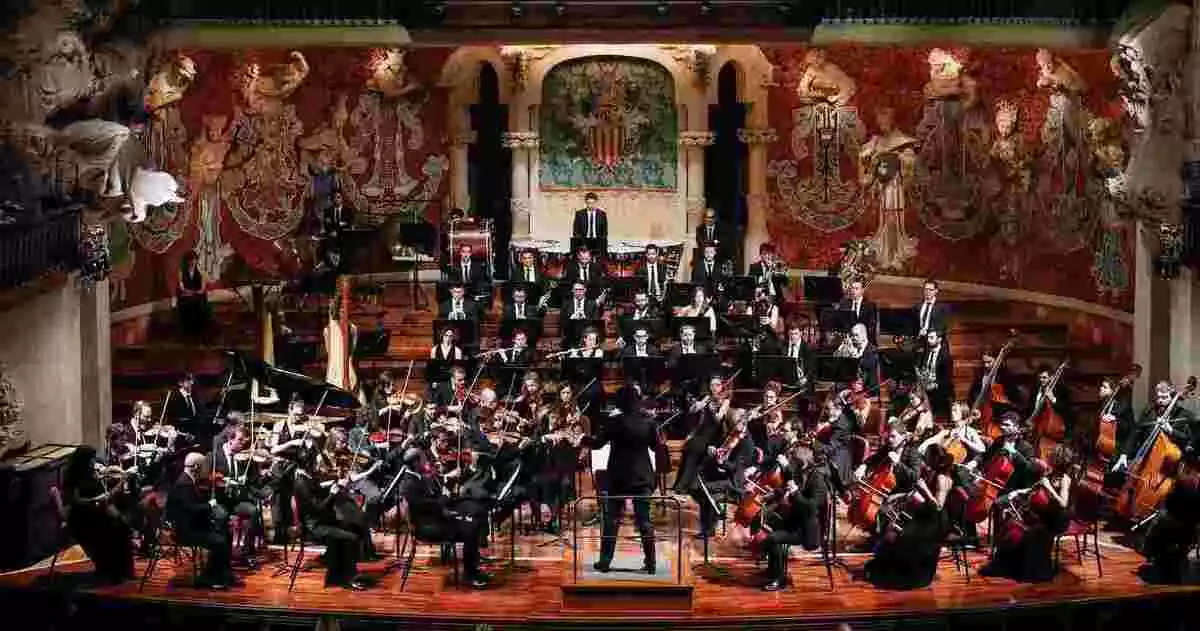 L'Orquestra Camera Musicae.