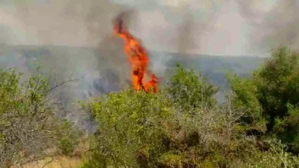 Imatge d'un incendi a Torredembarra