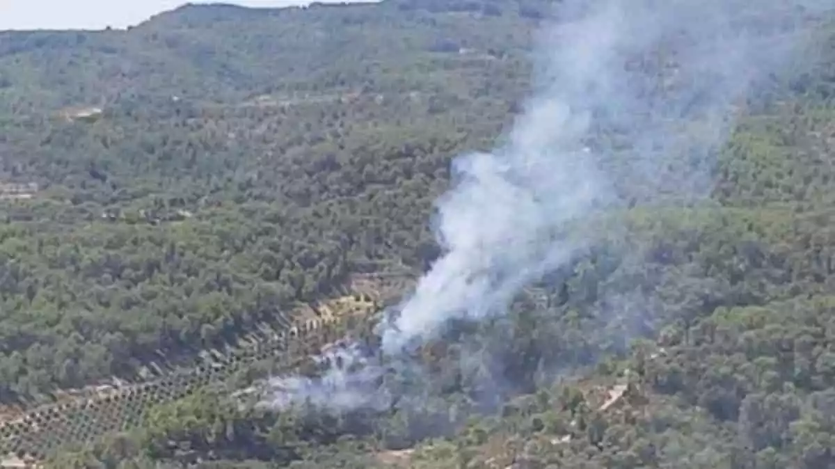 Incendi forestal al terme municipal de la Fatarella