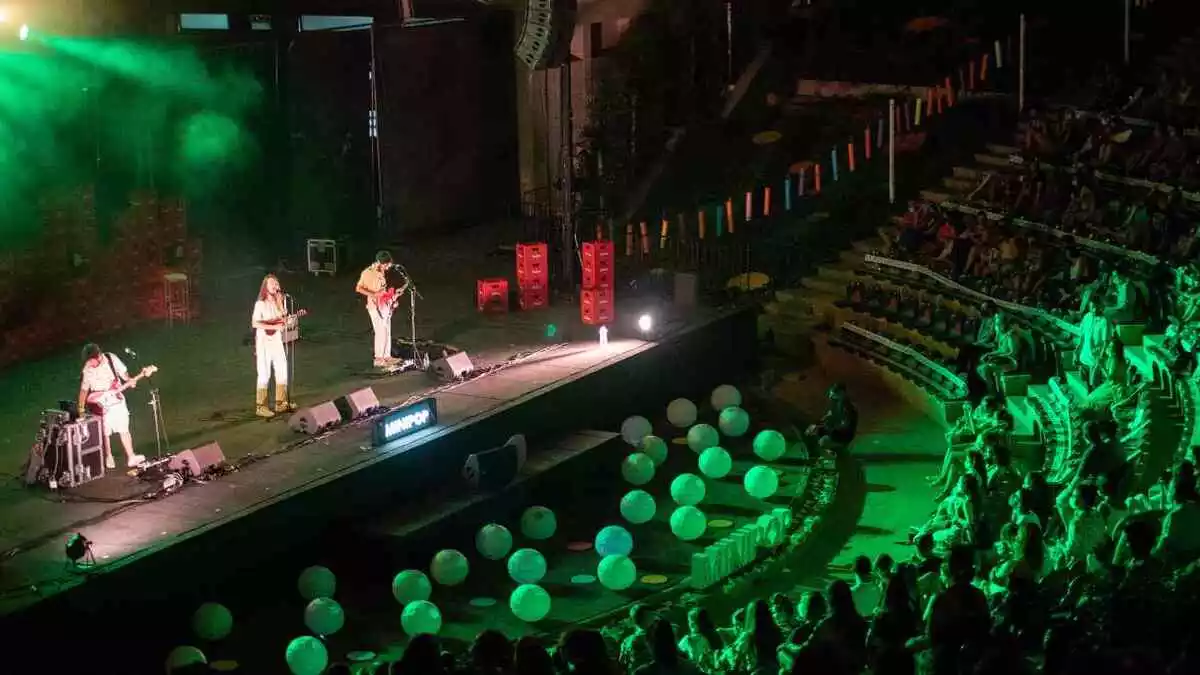 Pla general del concert de Carlos Sadness als 10 anys del Minipop