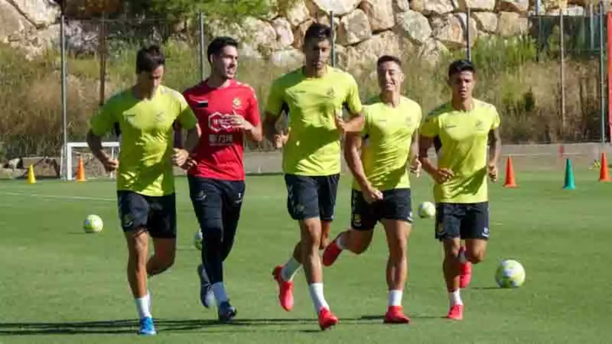 Pedro, Oliva, Ballesteros i Brugui en un moment de l'entrenament