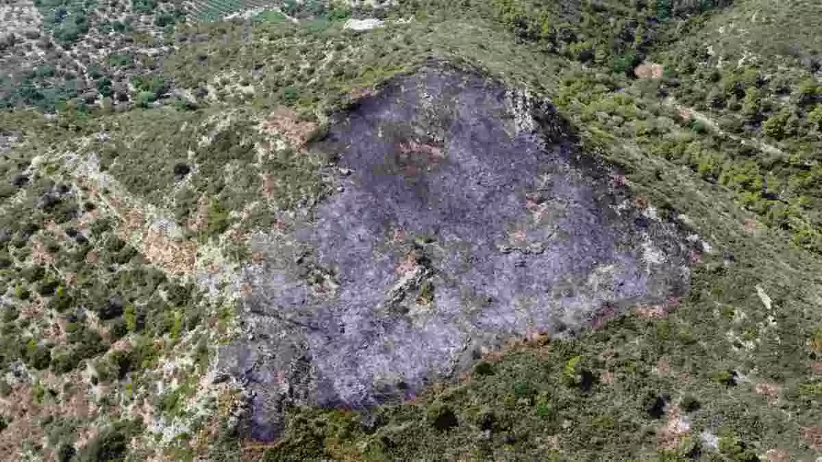 Imatge aèria de la zona afectada per l'incendi d'Amposta