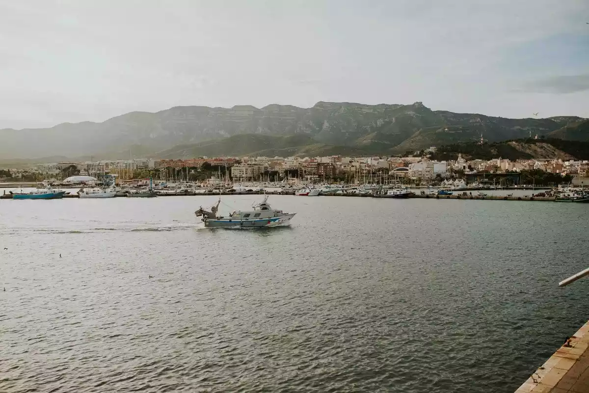 Imatge del port de Sant Carles de la Ràpita.