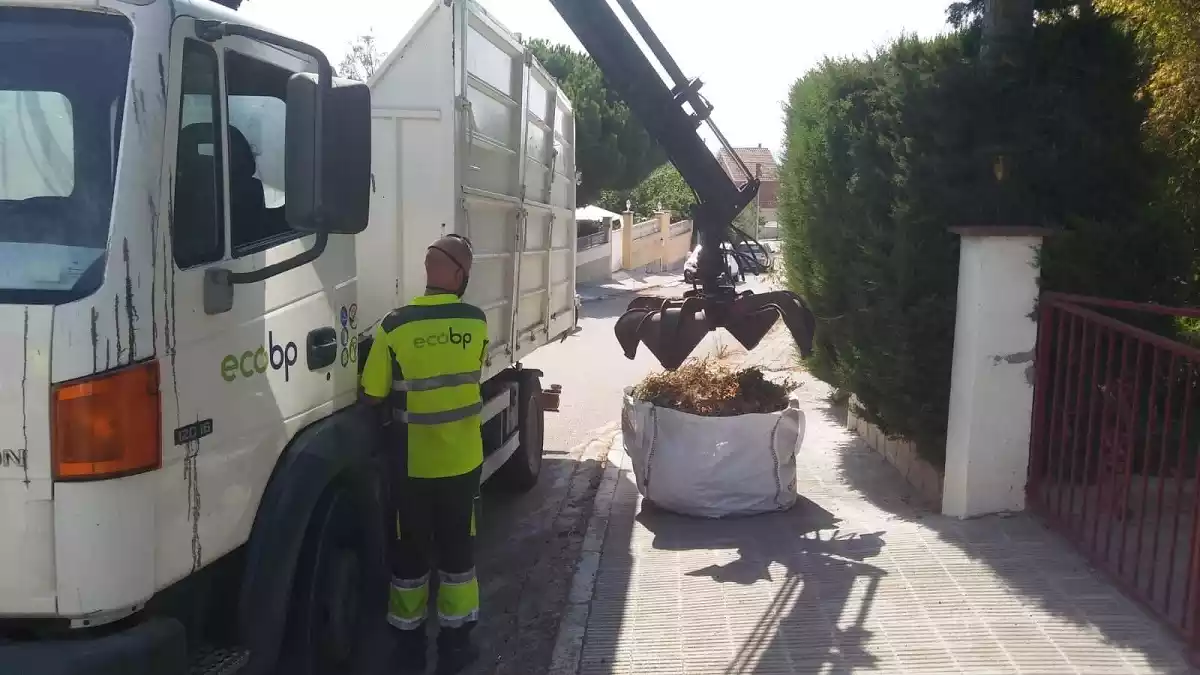 Operaris recollint restes de poda al Vendrell.