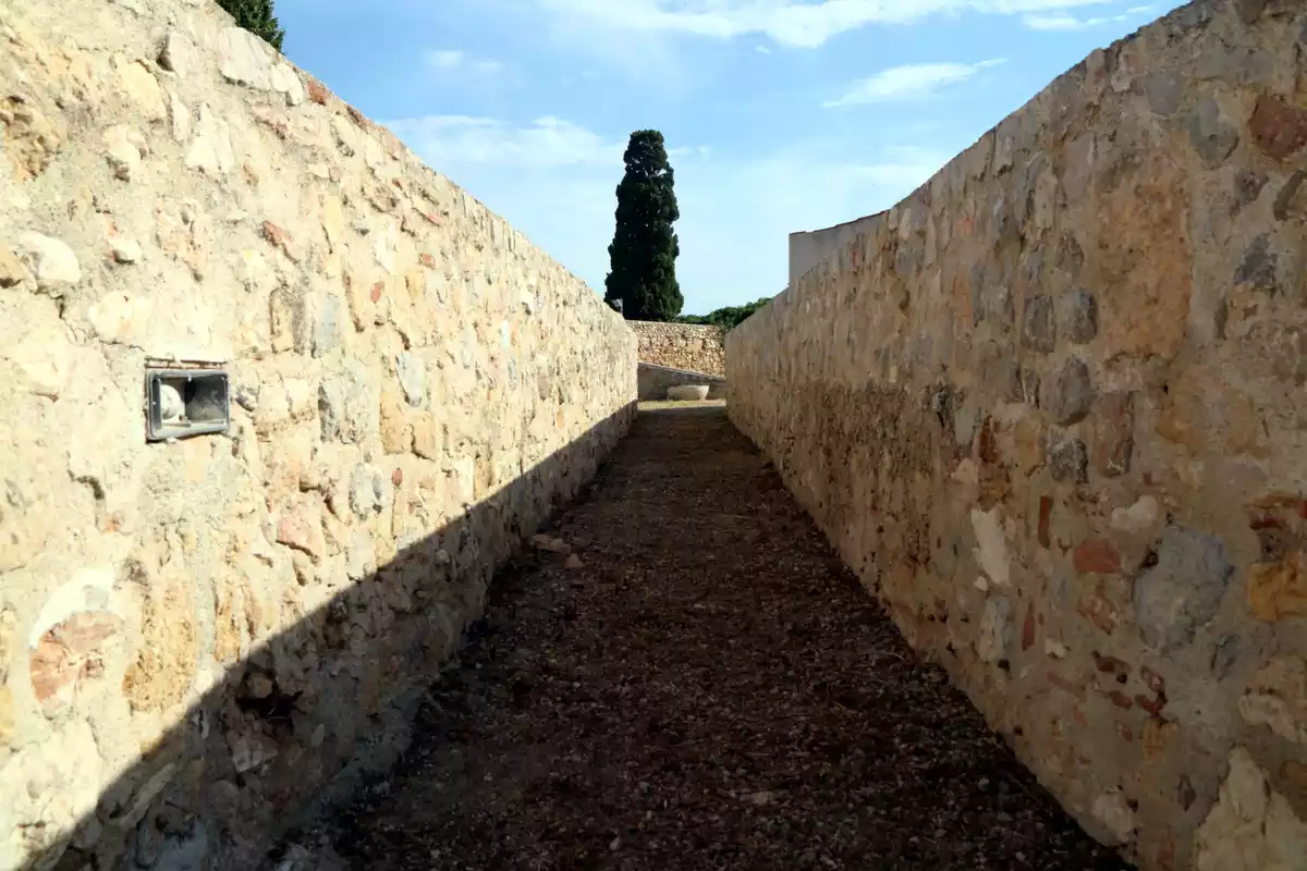 Muralla Tarragona Discover