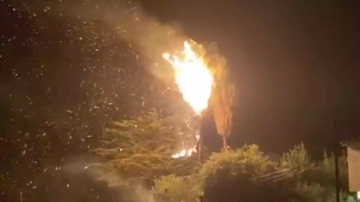 Imatge de la palmera cremant a causa de l'impacte d'un llamp a Torredembarra