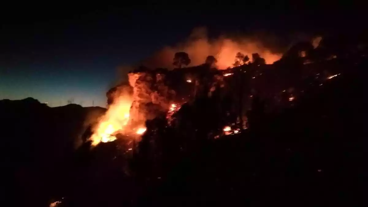 Imatge de l'incendi d'aquesta matinada a Vinebre