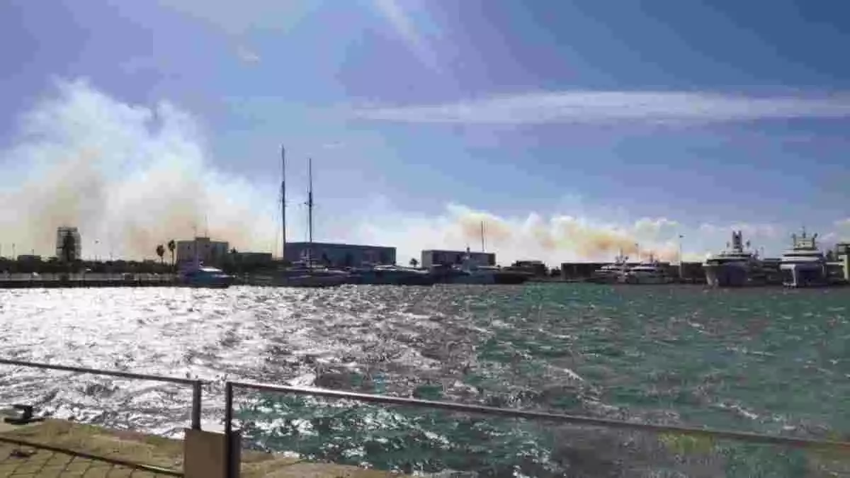 Imatge de l'incendi de les piles de biomassa al Port de Tarragona