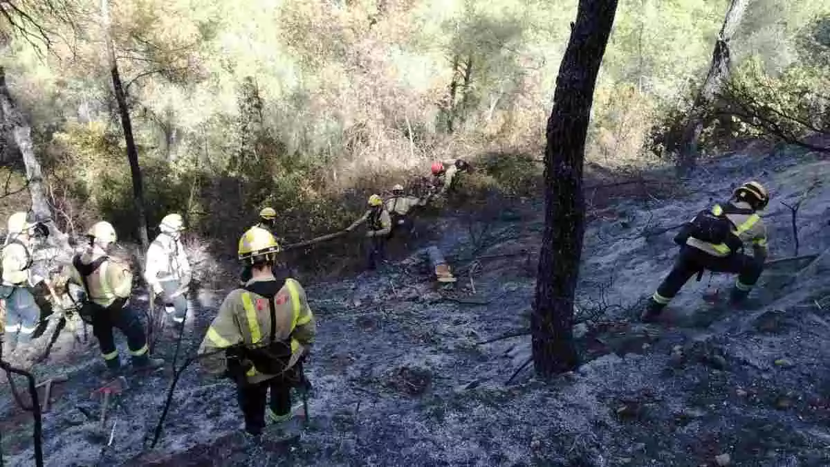 Imatge dels Bombers treballant en l'incendi de Vinebre