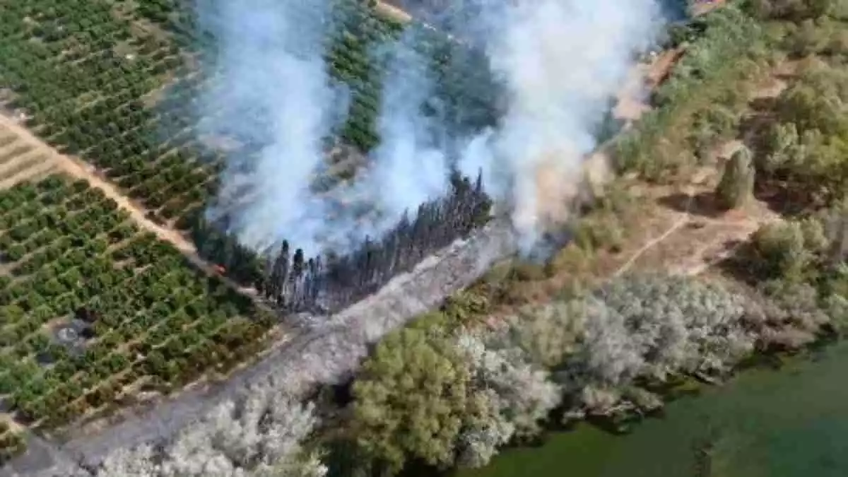 Imatge d'un incendi de canyes, a Ferreries