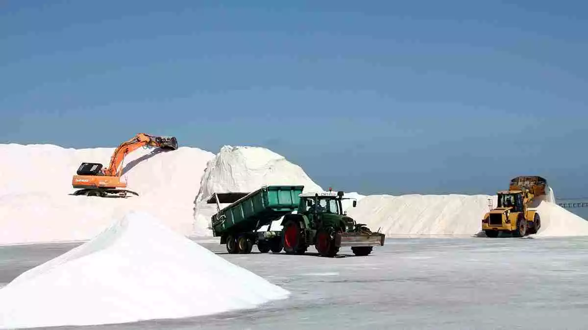 Pla general de màquines i tractors treballant en la recollida de la sal a les salines de la Trinitat