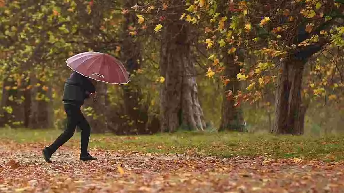 Un home corrent sota la pluja i el fort vent en un parc