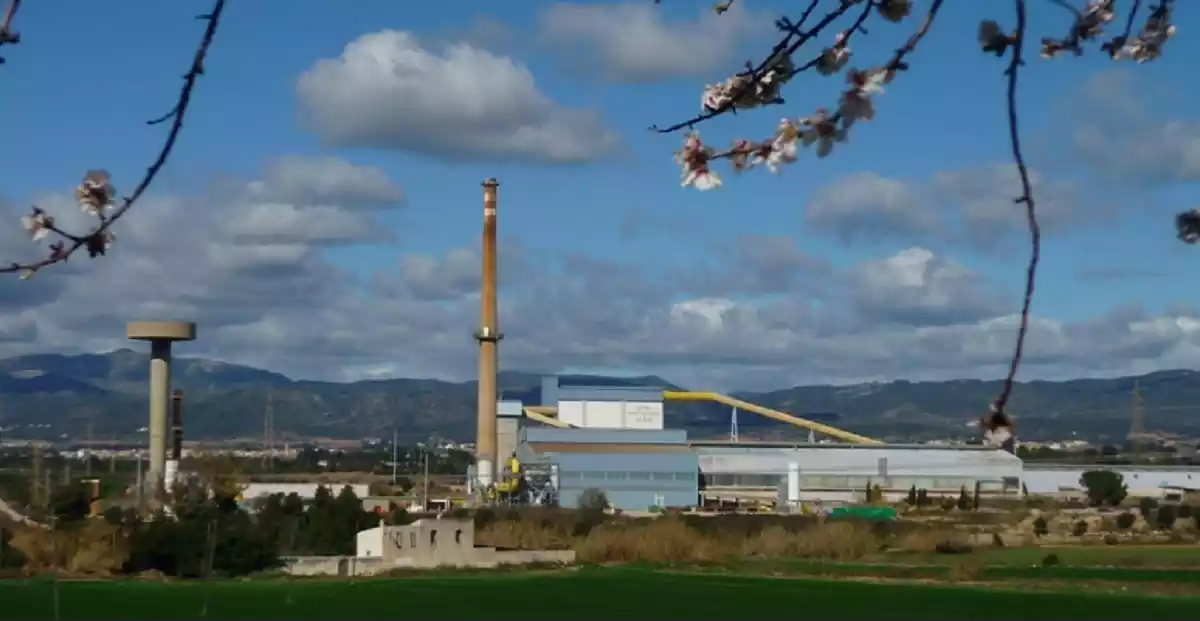 Vista de la fàbrica Saint-Gobain de l'Arboç.